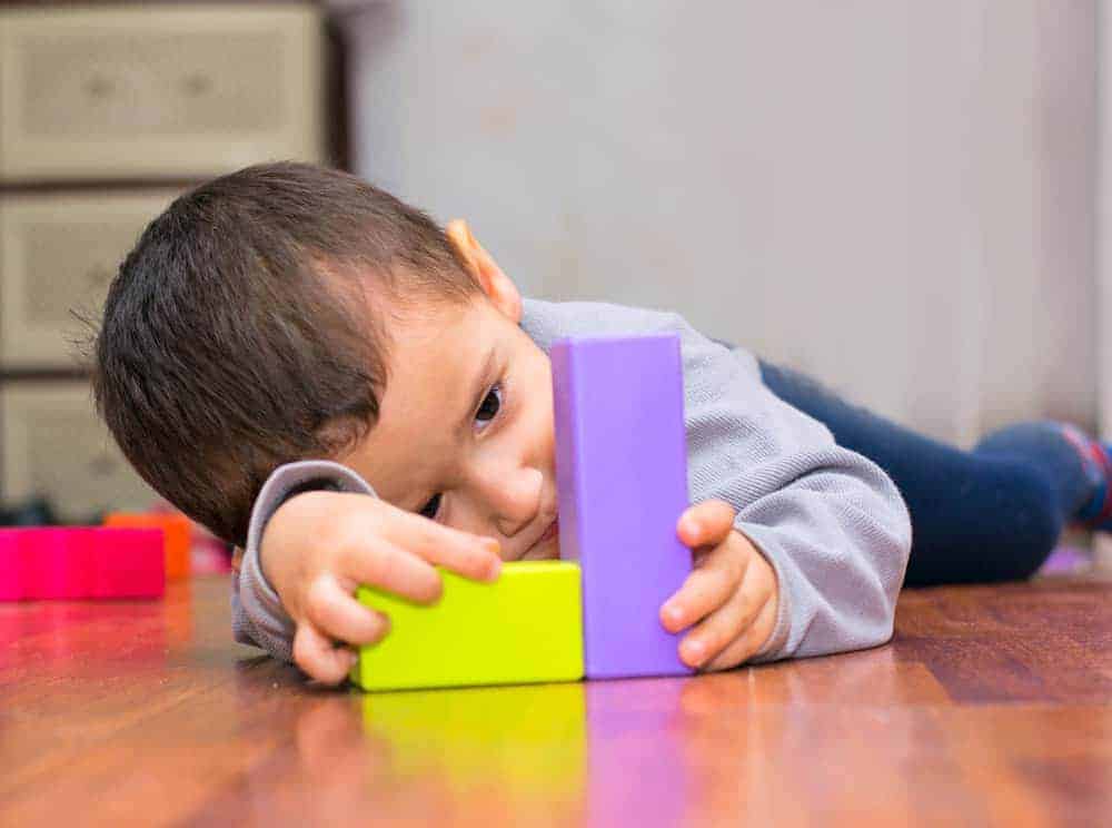 Autismo infantil y evaluación neuropsicológica